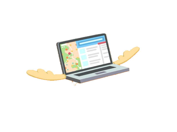 Fly Computer